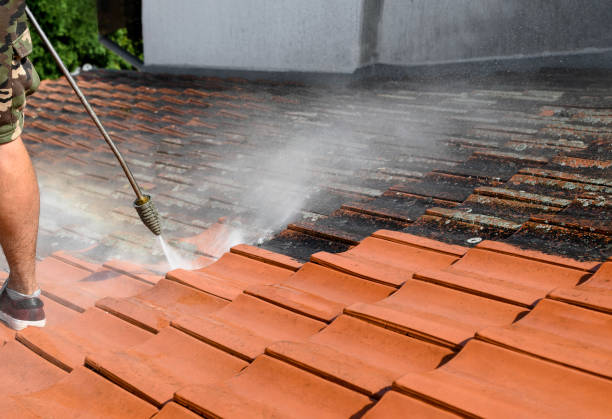 Best Affordable Power Washing  in Peoria, AZ